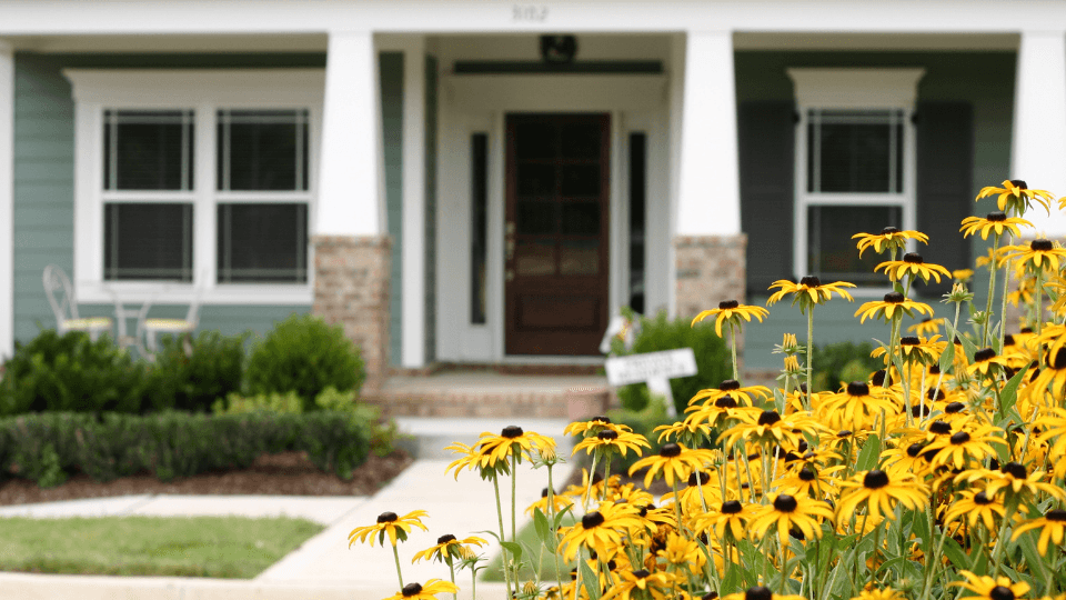 Yellow flowers outside of a home
