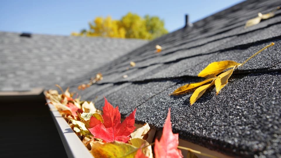 Fall leaves in gutters on house