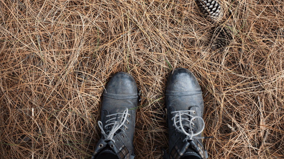 Shoes standing on dry grass