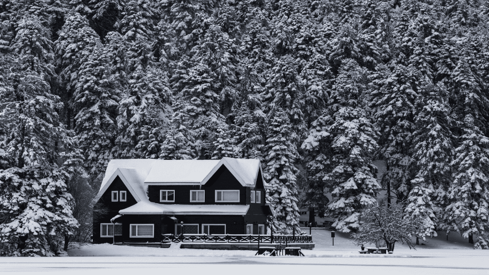 Winter landscape with house and forest