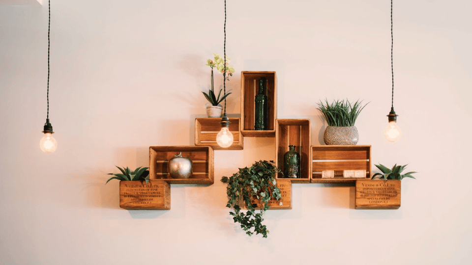 Wall shelves with decor and flowers and 3 hanging light bulbs
