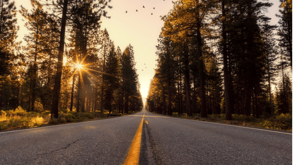Road in forest, the sun goes down