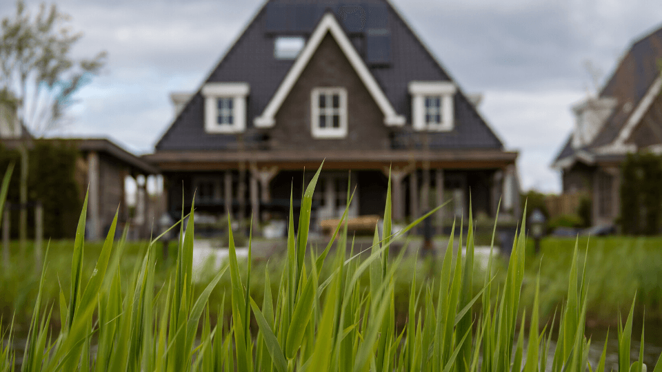 House and grass in focus