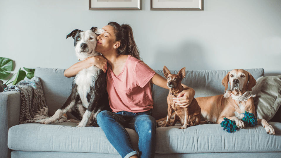Woman sitting on a couch with dogs