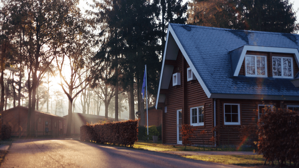 House, backyard and trees in morning sunlight