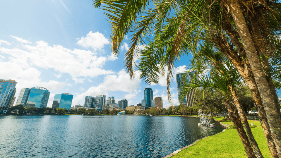 City landscape with lake and palm trees