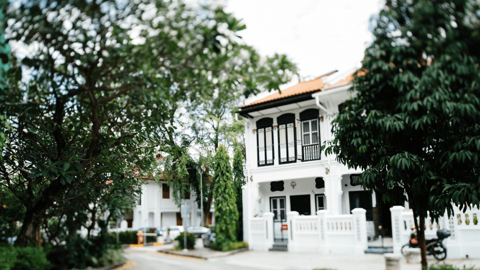 White houses with columns and fence and trees